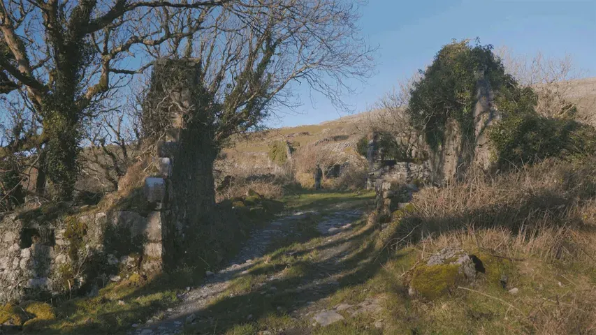 The Burren: Heart of Stone