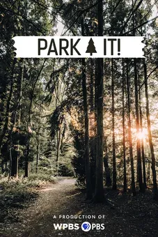 Park It!