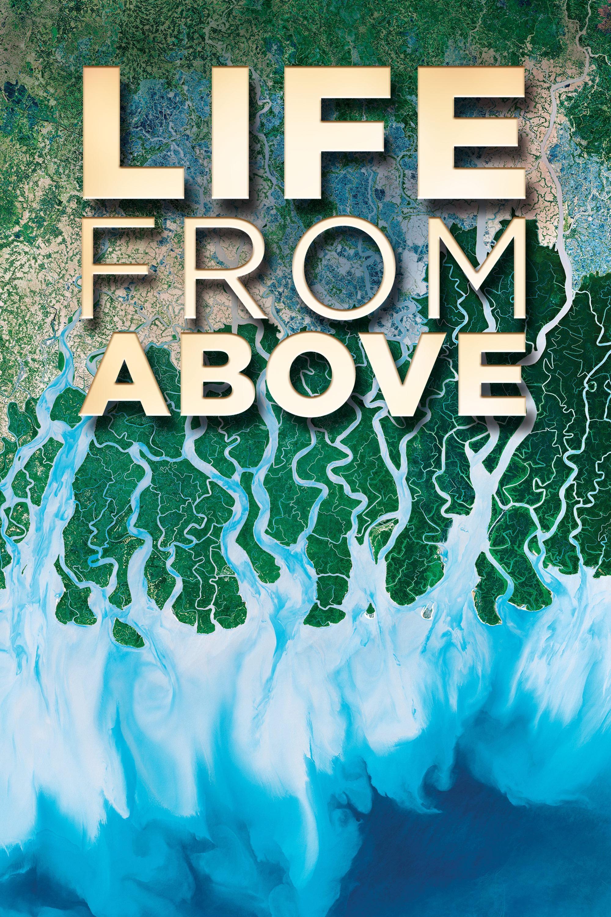 Life from Above show's poster