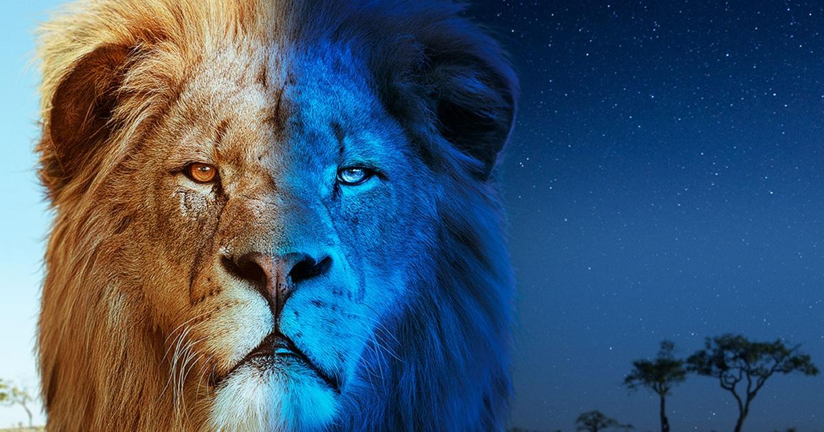 Big Cats 24/7 - PBS