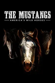 The Mustangs: America's Wild Horses