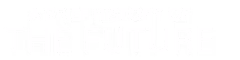 A Brief History of the Future