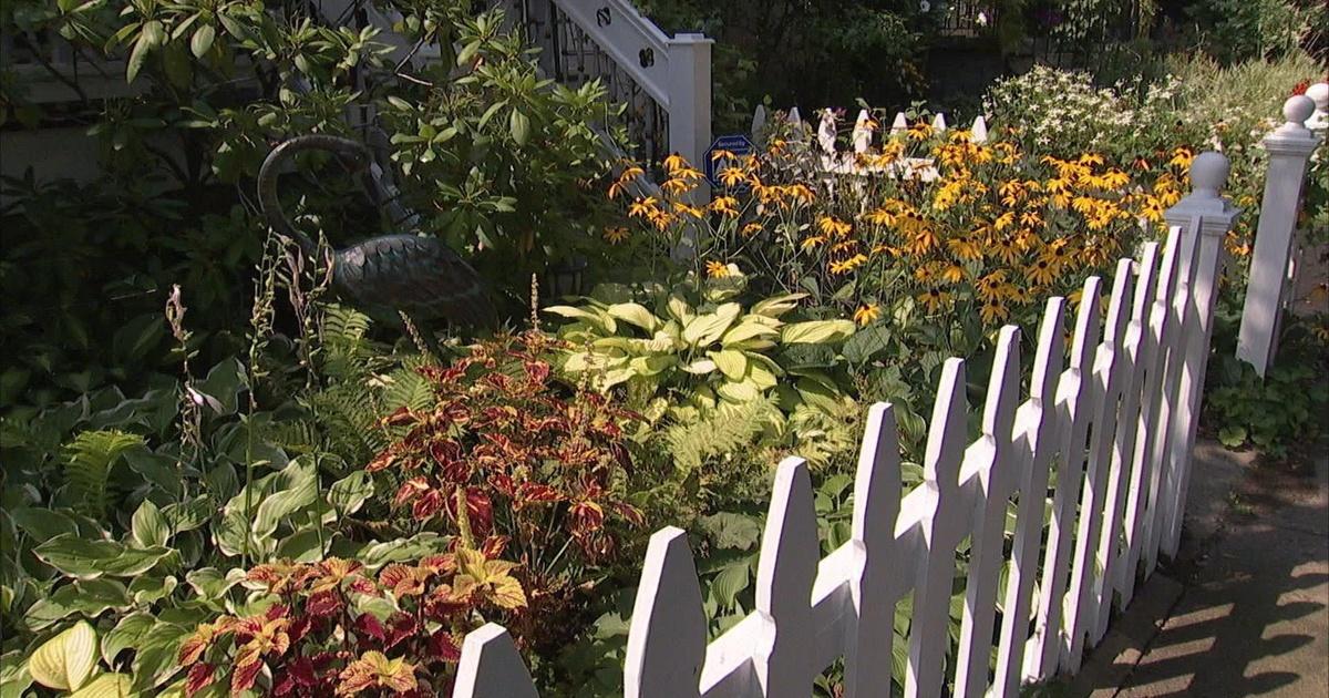 Garden Wisdom for Western New York and Southern Ontario | PBS