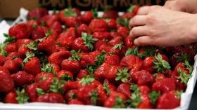 8 Berry Good National Strawberry Day Recipes