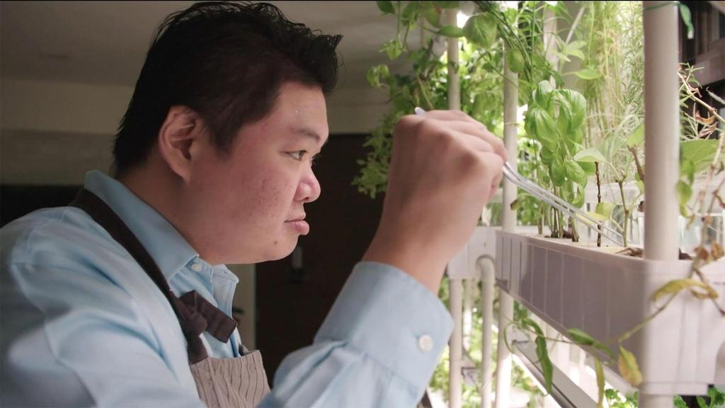 Hydroponics Expert Yash Lawrence in Singapore.