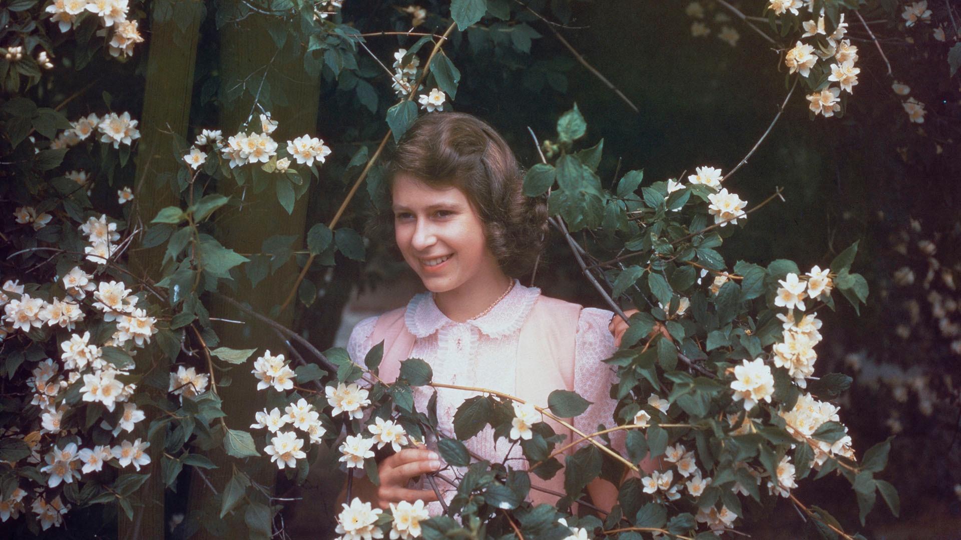 Princess Elizabeth amongst a syringa bush in the grounds of Windsor Castle, Berkshire.