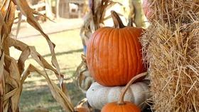 Here's How to Fall in Love With Autumn
