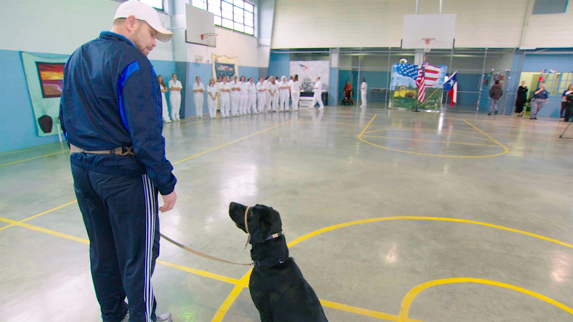 Daniel Heyd, SSGT (Ret.) US Air Force, trains with a service dog.