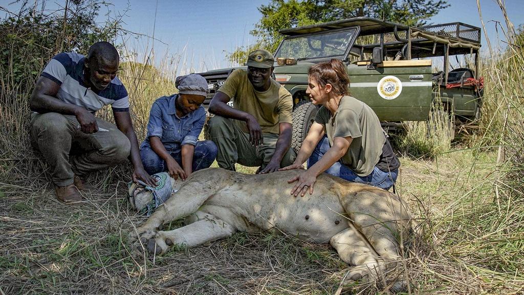 Paola Bouley and Lion Project Team