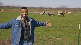 PBS Programs Win Emmy Awards