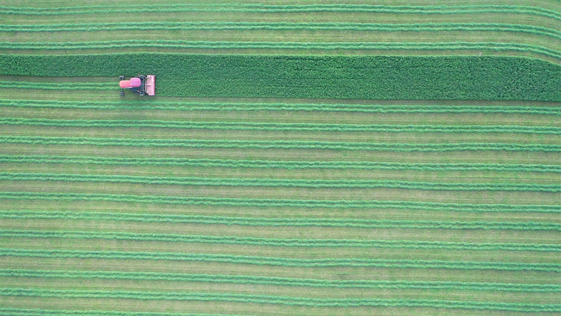 Aerial of industrial farmland in New Germany, Minnesota.