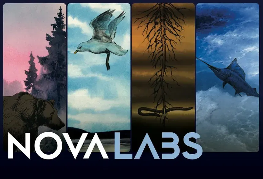 NOVA Labs