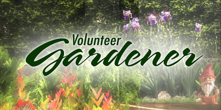 Volunteer Gardener