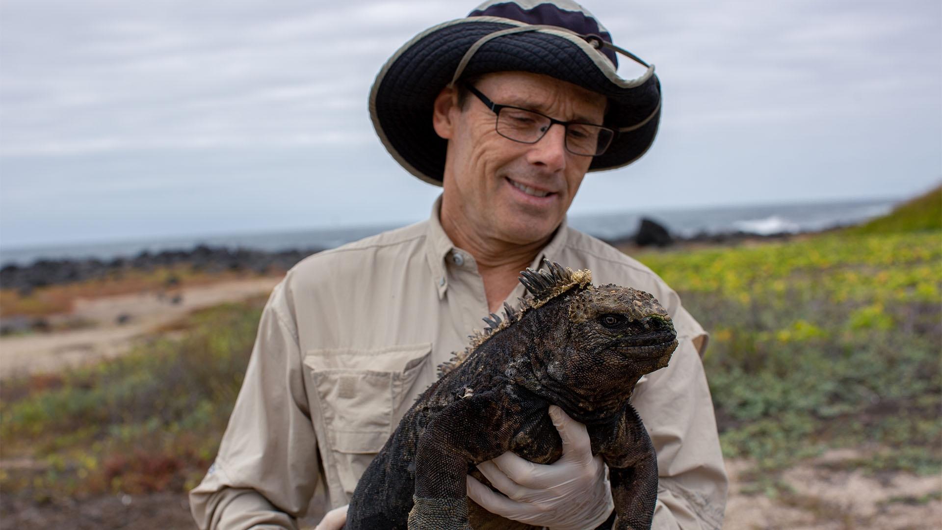 Scientist Greg Lewbart holds a marine iguana.