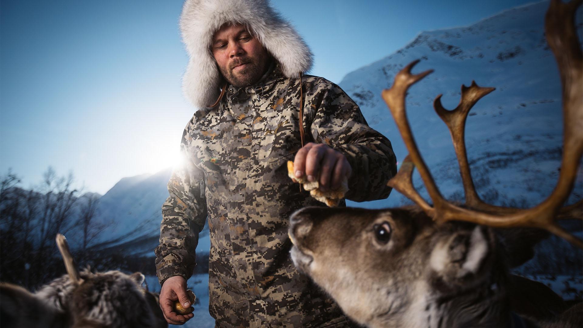Nils Ole Oskal feeds one of his reindeers in the mountains of Northern Norway.