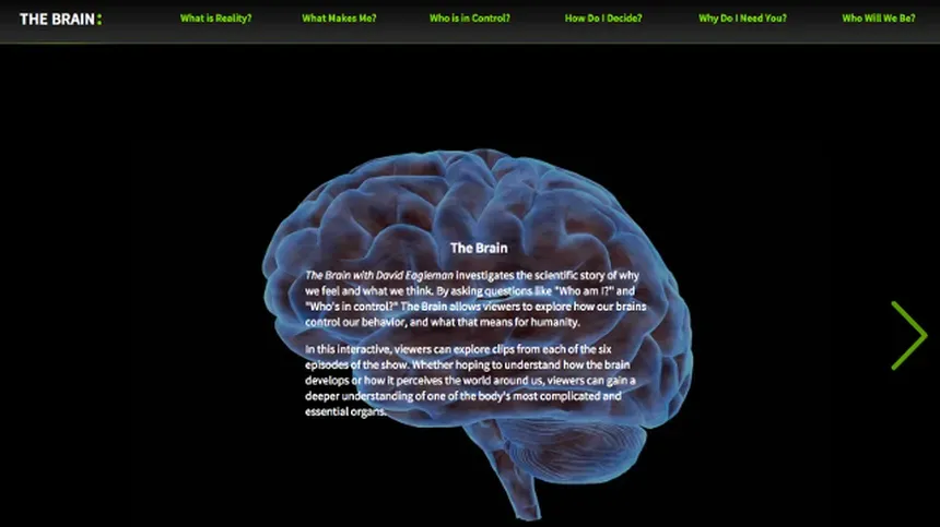 Explore the Brain with this Interactive