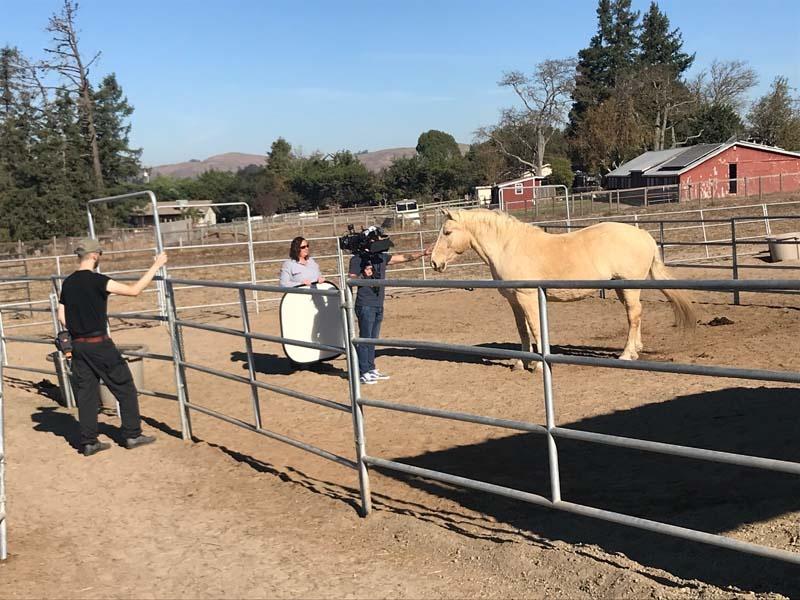Christopher Ewers takes a moment to connect with a therapy horse on location in California. 