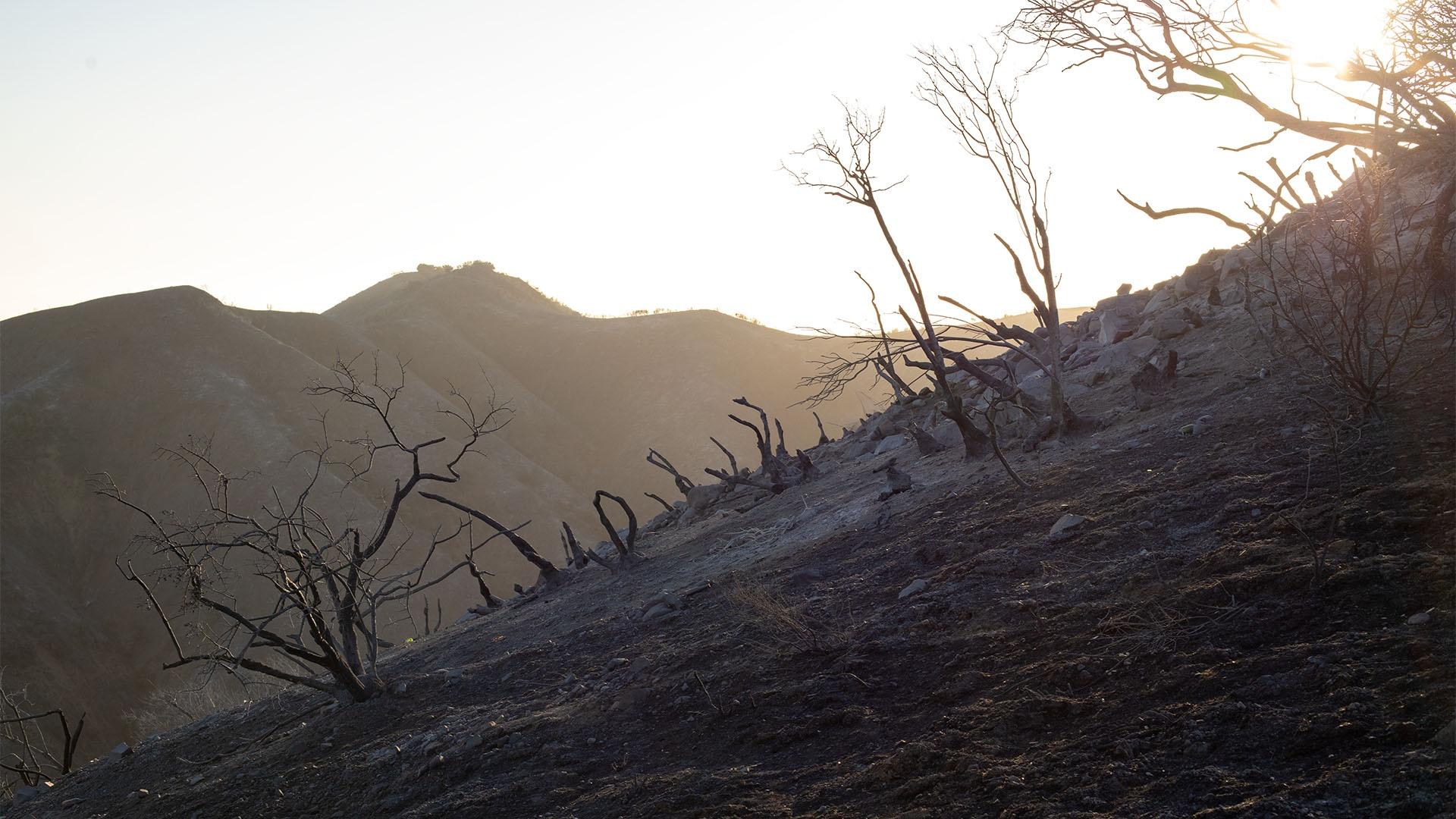 California landscape