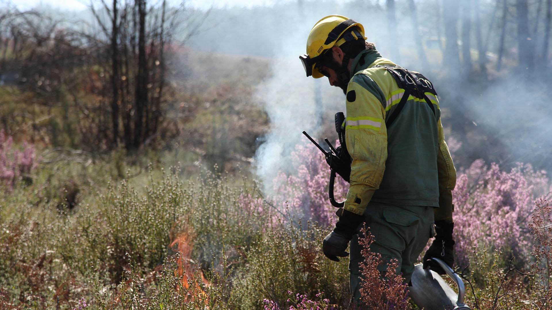 A firefighter with flames in foliage.