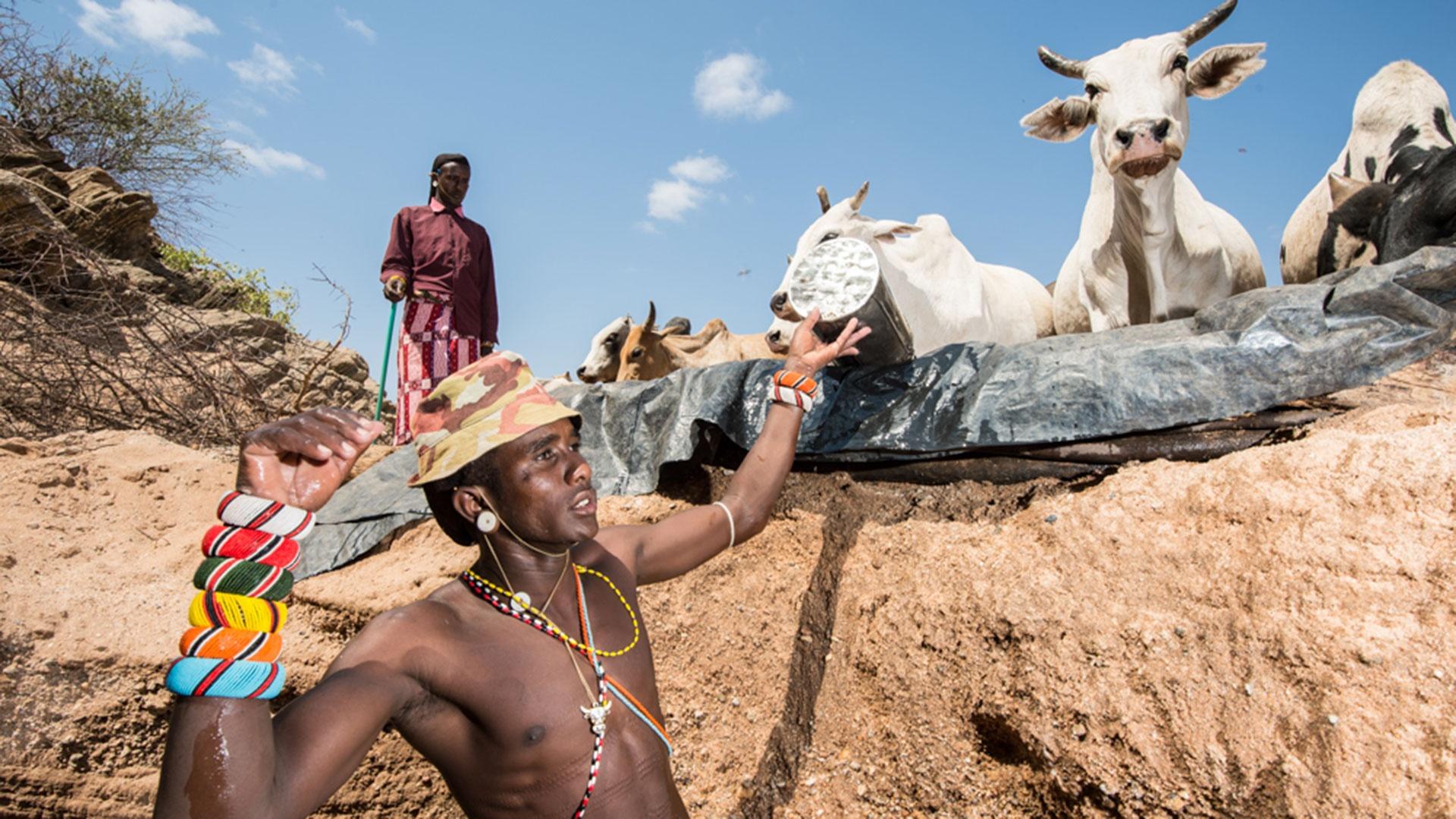 In a scene from 'Water,' a Samburu warrior watering his cows at the Singing Wells in Kenya.