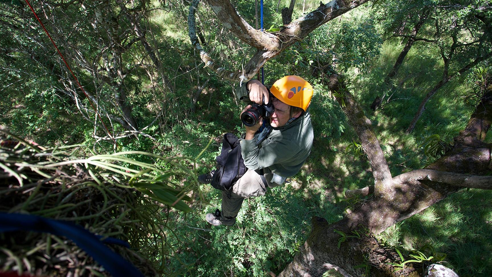 Entomologist Piotr Naskrecki explores the rarely studied tree canopy of the Cheringoma Plateau.