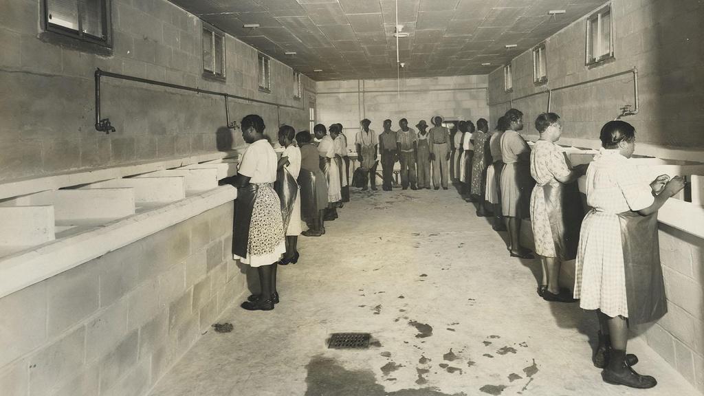The crab factory in Pin Point, GA, where several members of Justice Thomas’ family worked.