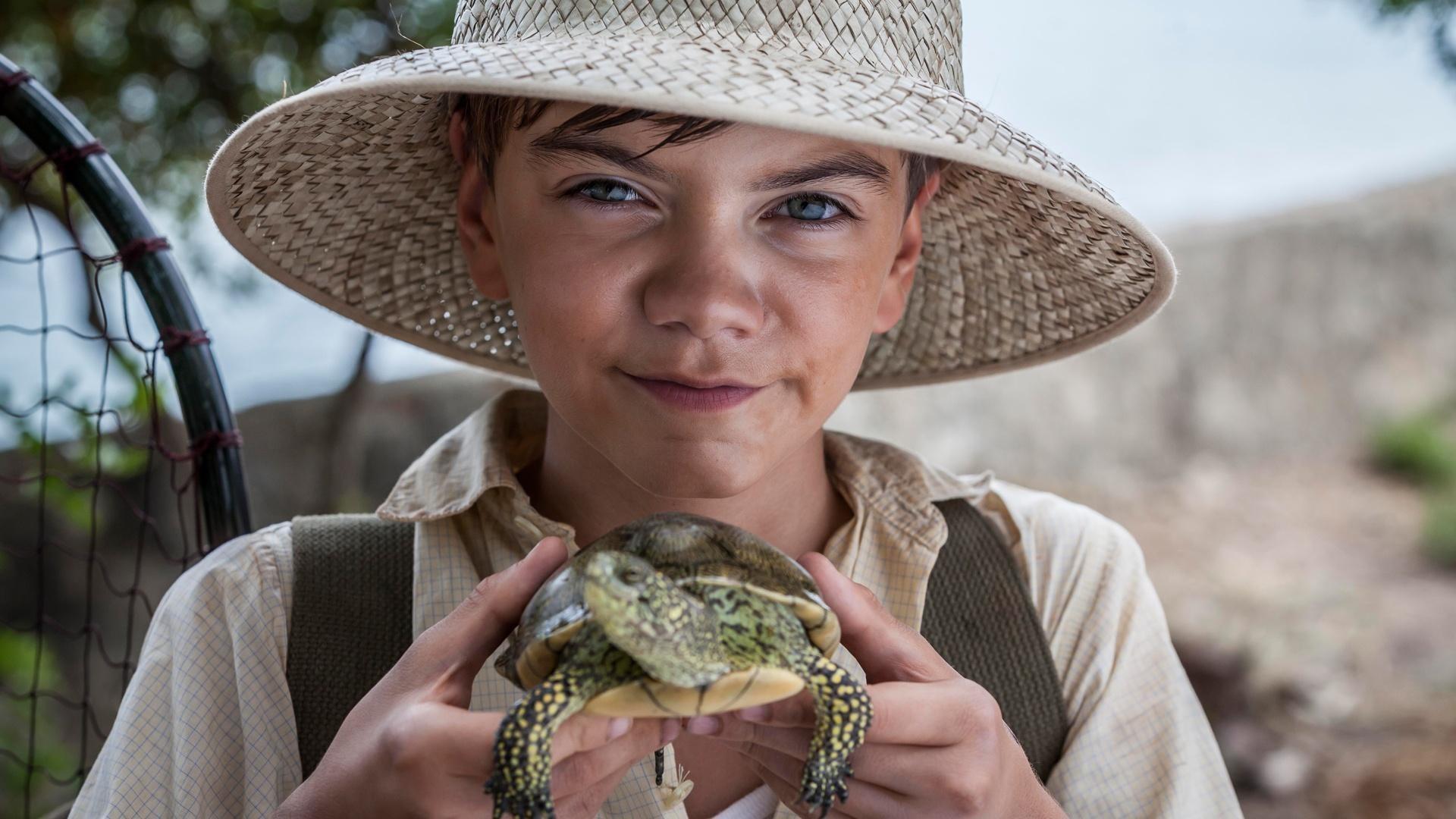 Gerry from the show "The Durrells in Corfu", holds a turtle.