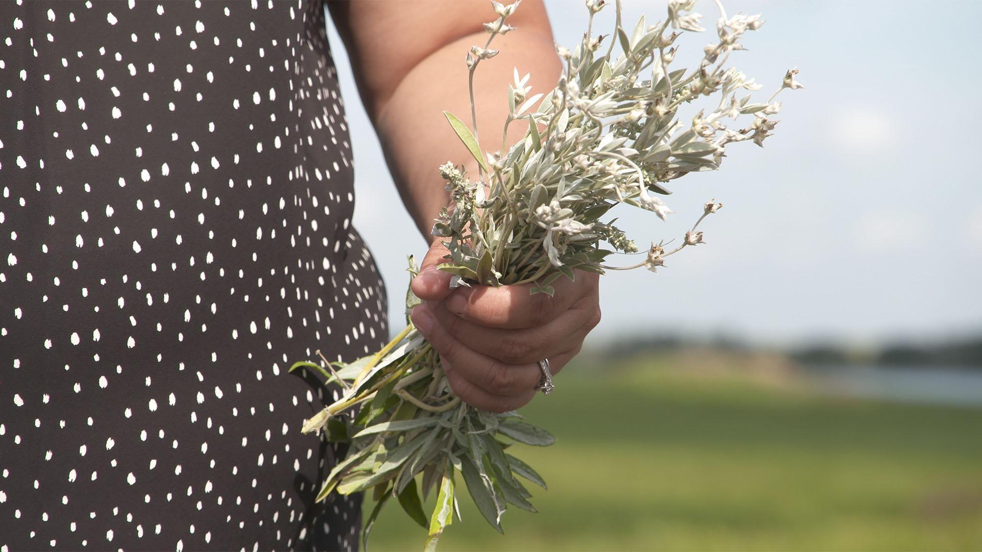Image of woman holding harvested traditional medicines.