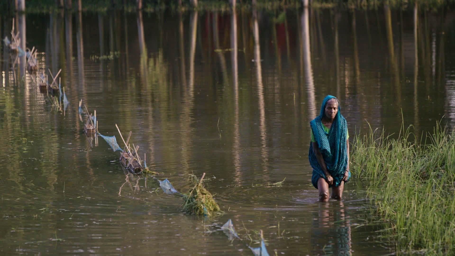 ADAPTATION | Episode 1 Floating Gardens of Bangladesh