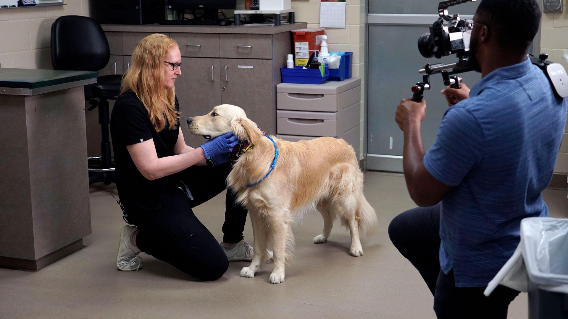 Veterinarian Dr. Kate Barnes examines Dale the dog, as featured on Season 2 of "Texas A&M Today."