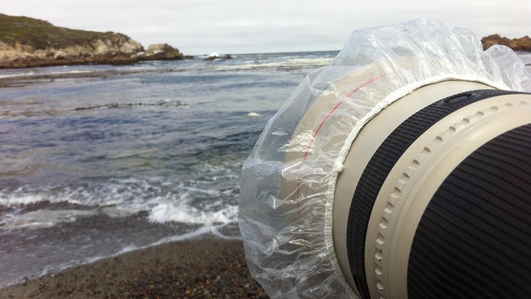 A long lens has a shower-cap on the end.
