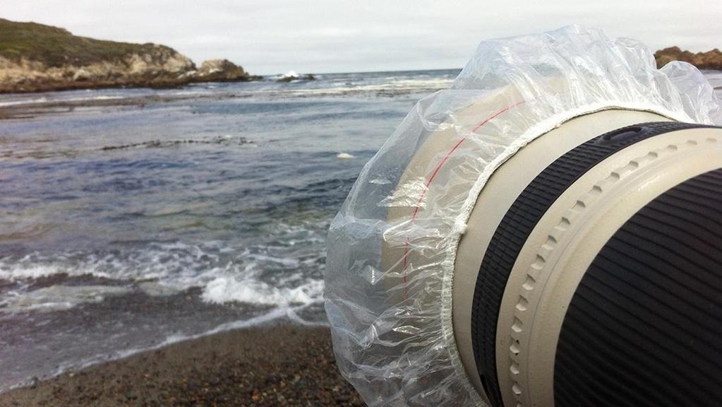 A long lens has a shower-cap on the end.