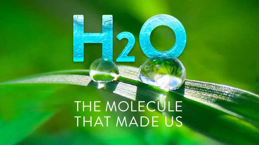 H2O: The Molecule That Made Us