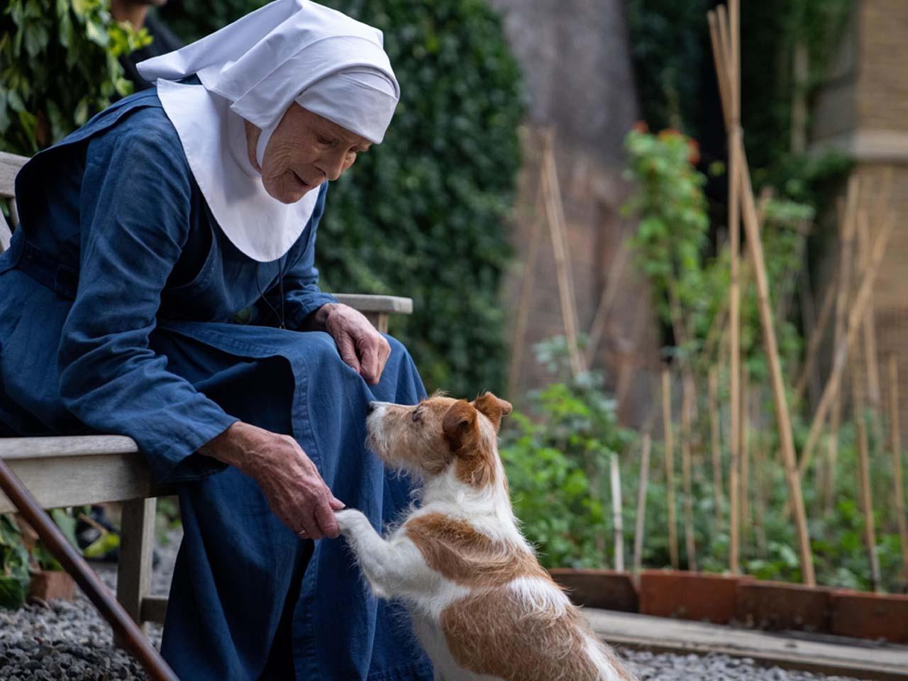 Sister Monica Joan greets a dog