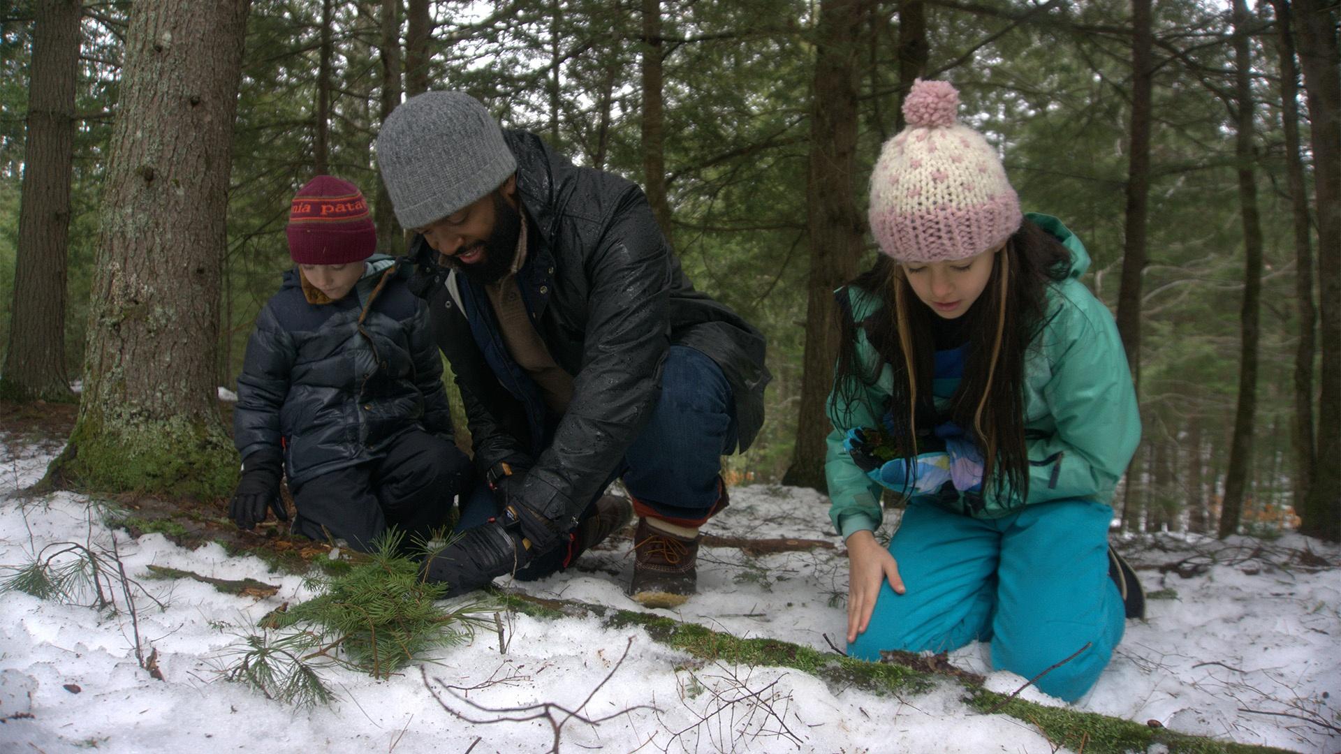 Baratunde crouched gathering moss with 2 kids