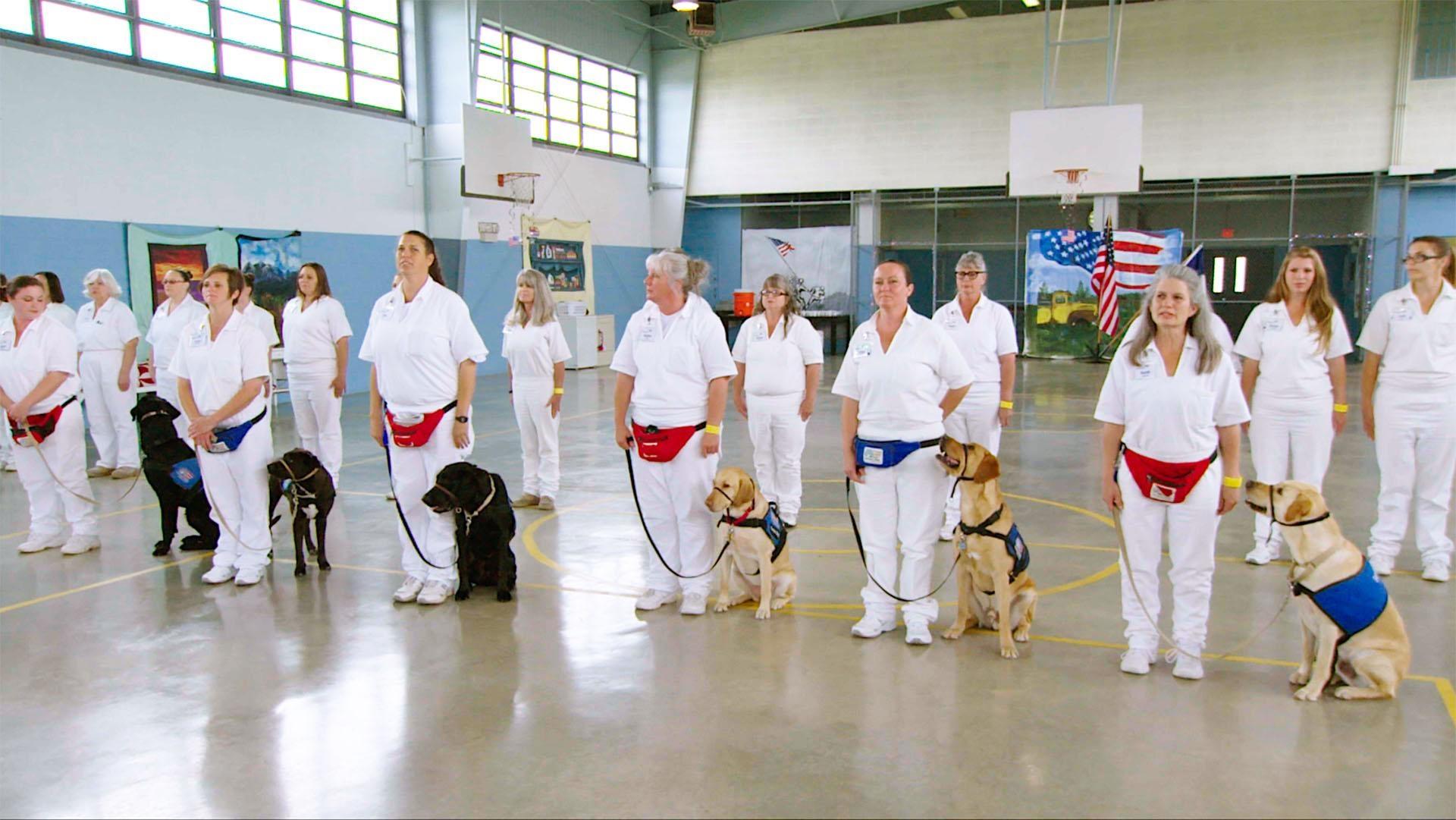 Inmates at the Gatesville Correctional Facility in Gatesville, Texas line up with service dogs.