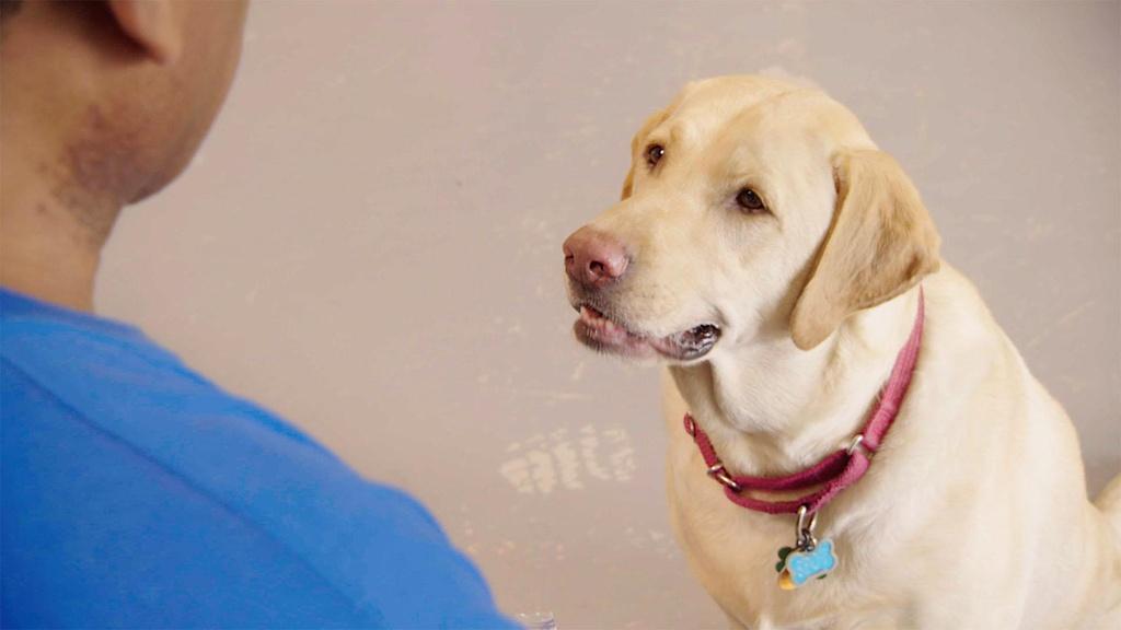 Keith Young, COL (Ret.) US Army, enjoys a conversation with his service dog Spot.
