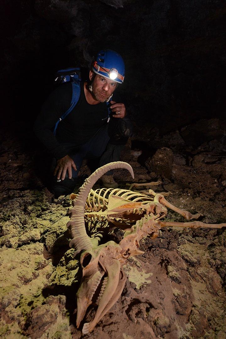 Steve Backshall discovers an ibex skeleton in an unexplored lava tube in Saudi Arabia.