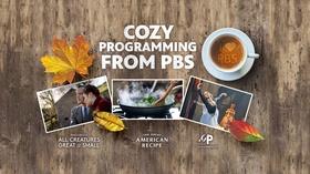 Cozy Programming from PBS
