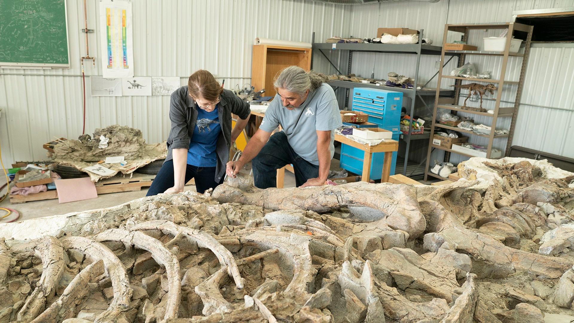 Prehistoric Road Trip host Emily Graslie and J.P. Cavigelli at Tate Geological Museum.