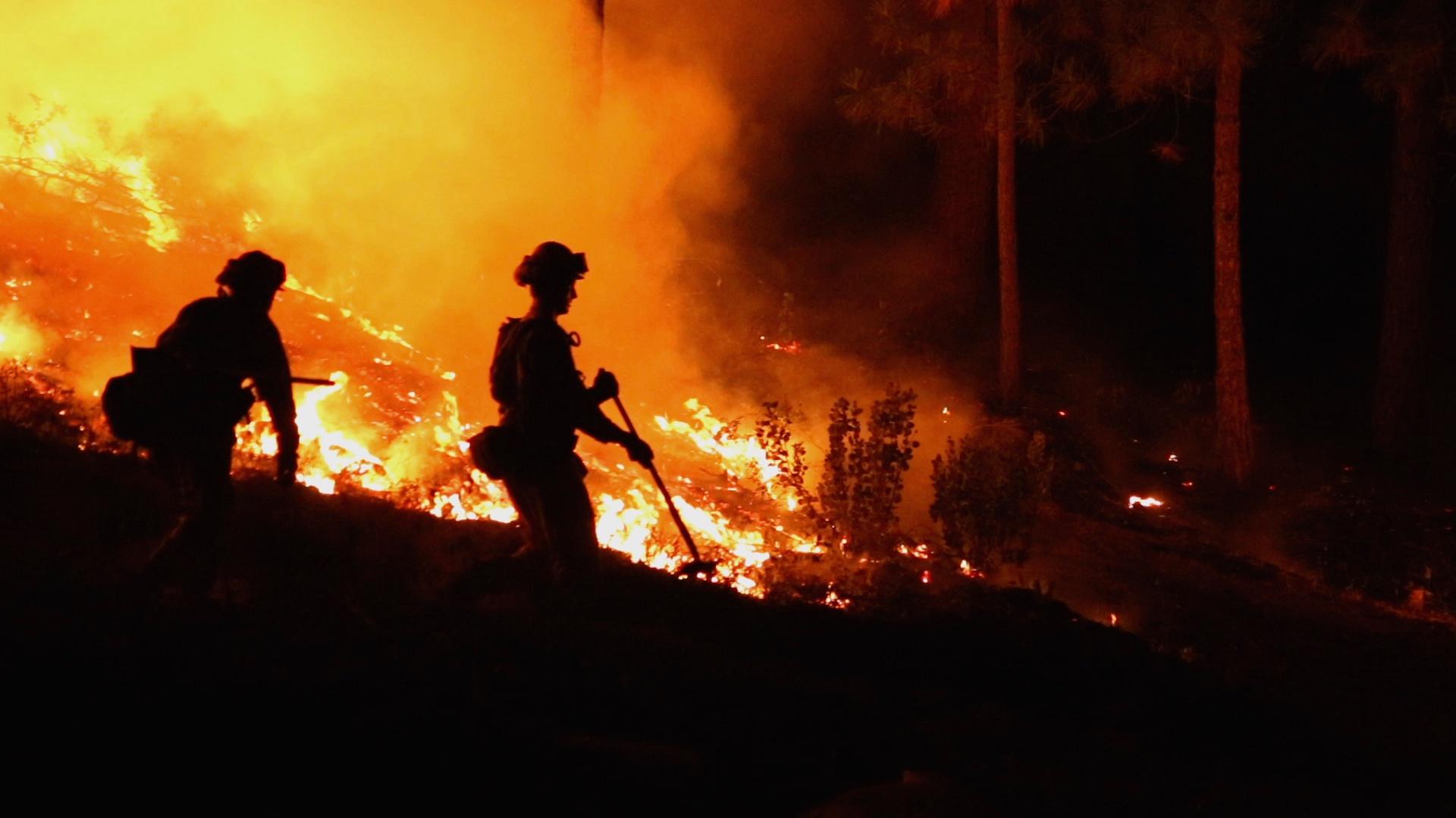 Firefighters fighting a forest fire.