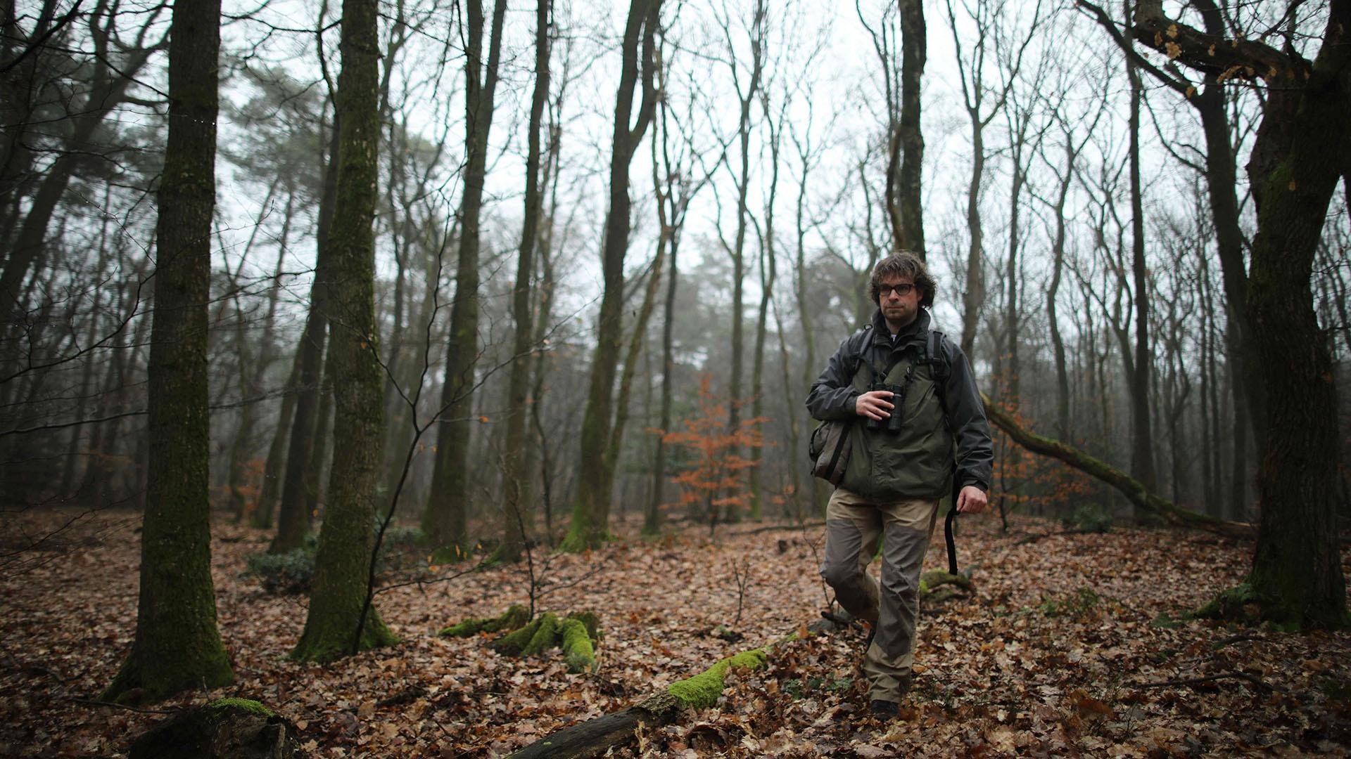 Hugh Jansman looking for signs of wolves in The Netherlands.