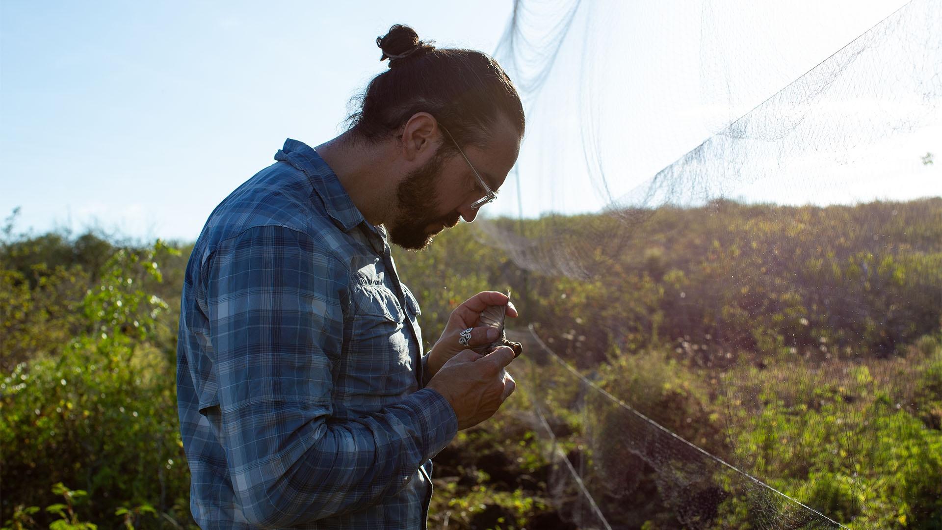 Scientist Jaime Chaves studies "Darwin's finches."