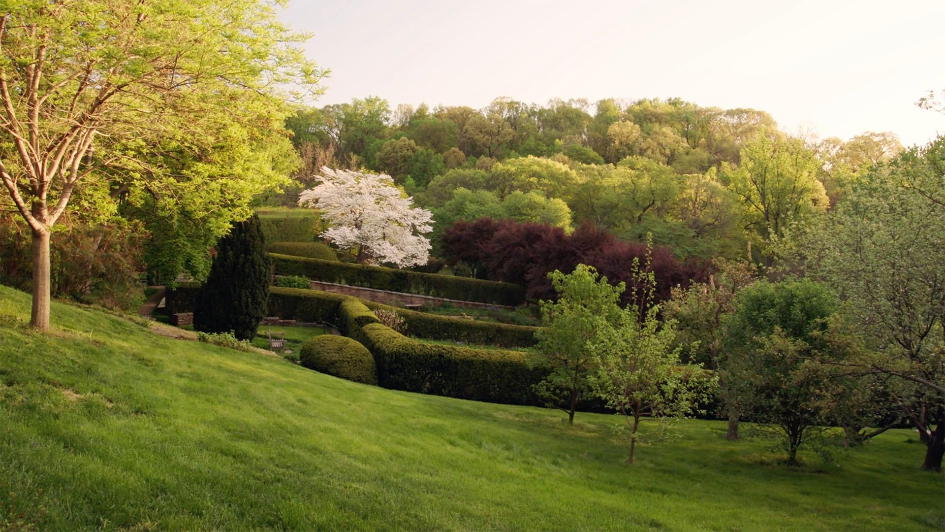 A view across formal gardens and into the park beyond at Dumbarton Oaks in Washington, DC.
