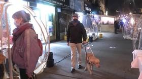 Walking While Blind in NYC During the Pandemic