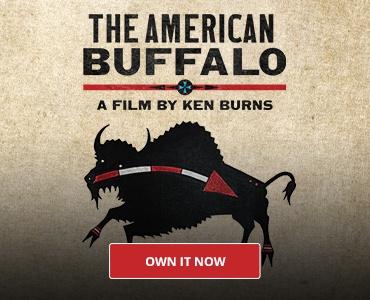 Ken Burns American Buffalo
