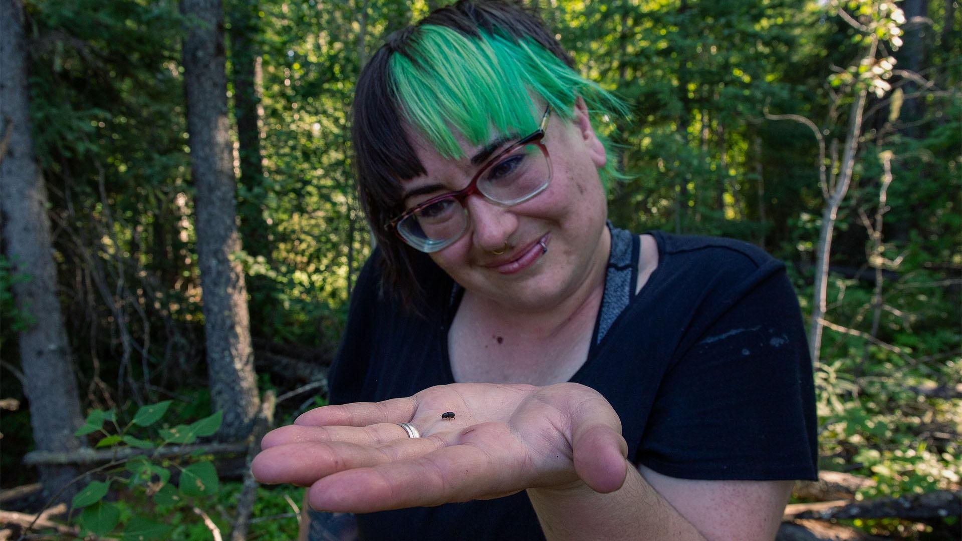 Scientist Antonia Musso holding a mountain pine beetle. 