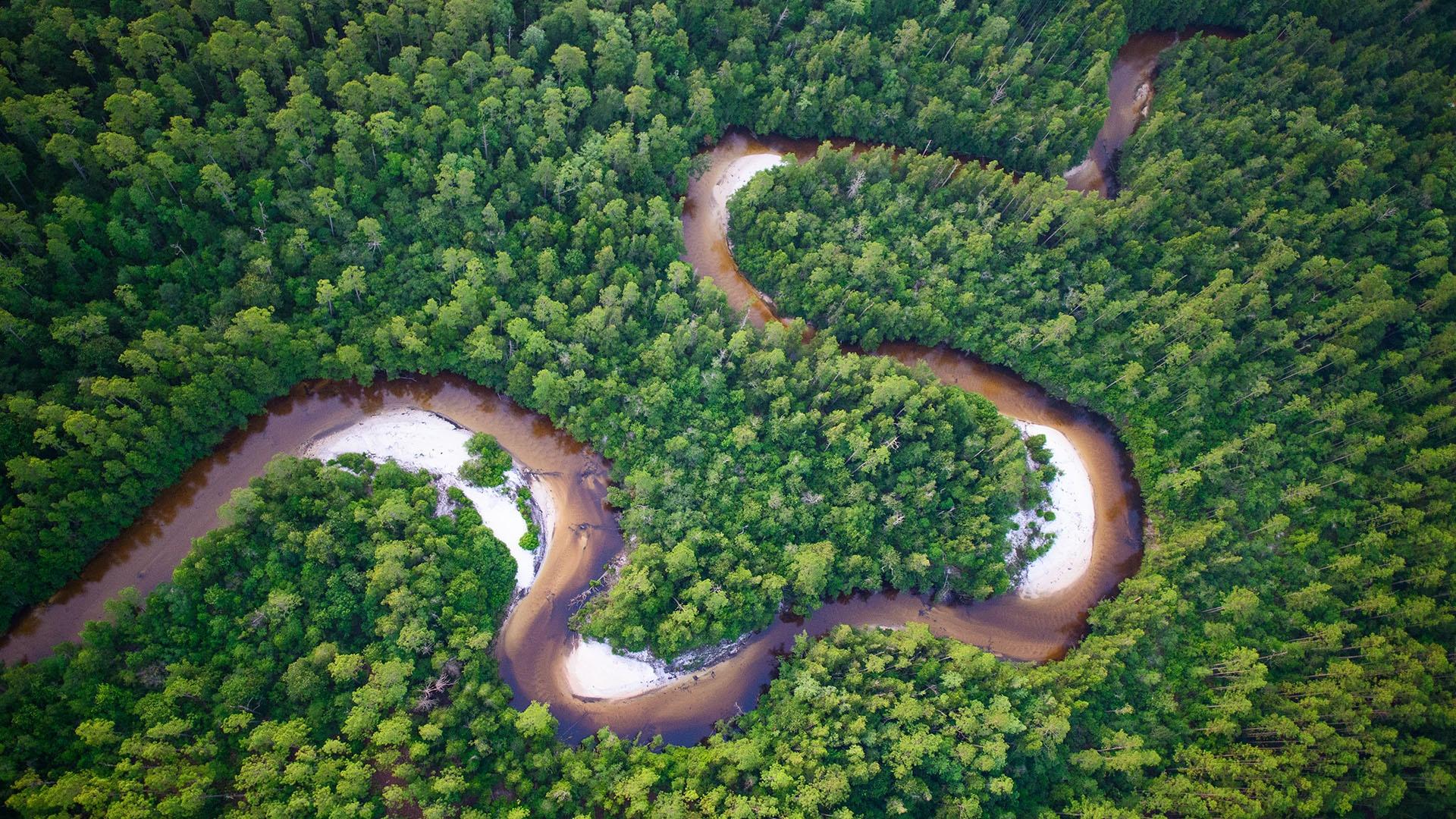 An aerial view of a river winding through lush longleaf pine habitat in the Florida Panhandle region