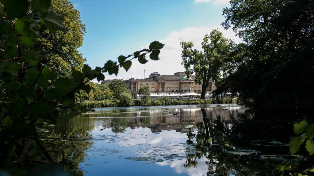Buckingham Palace across the lake.