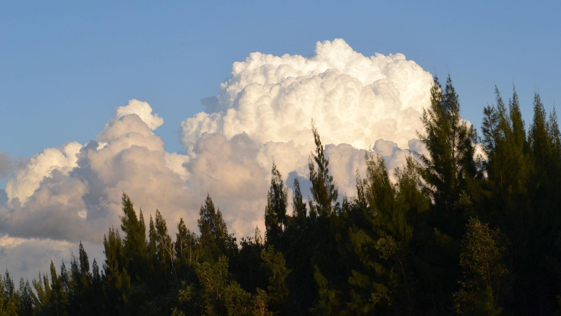 Cloud in Florida, USA.